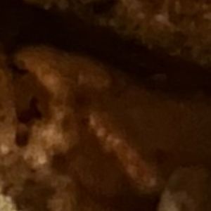 Meet your Posher, Trixie